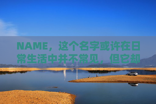 NAME，这个名字或许在日常生活中并不常见，但它却在某些领域里扮演着重要的角色。今天，让我们一起来探索这个名字背后的故事和意义